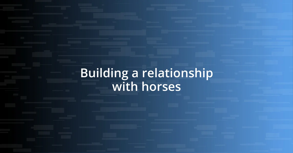 Building a relationship with horses